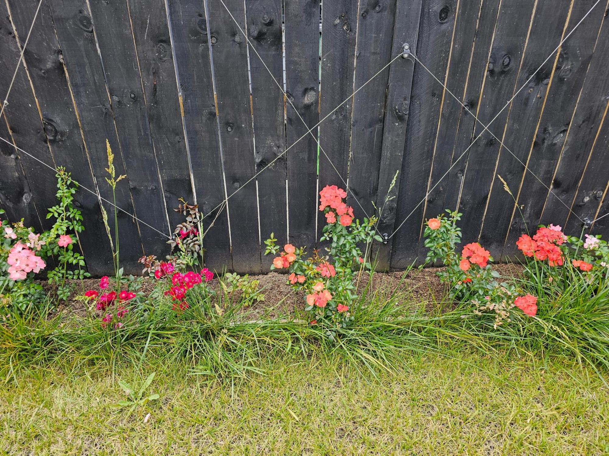 SilverdaleTui Nest Garden Unit公寓 外观 照片